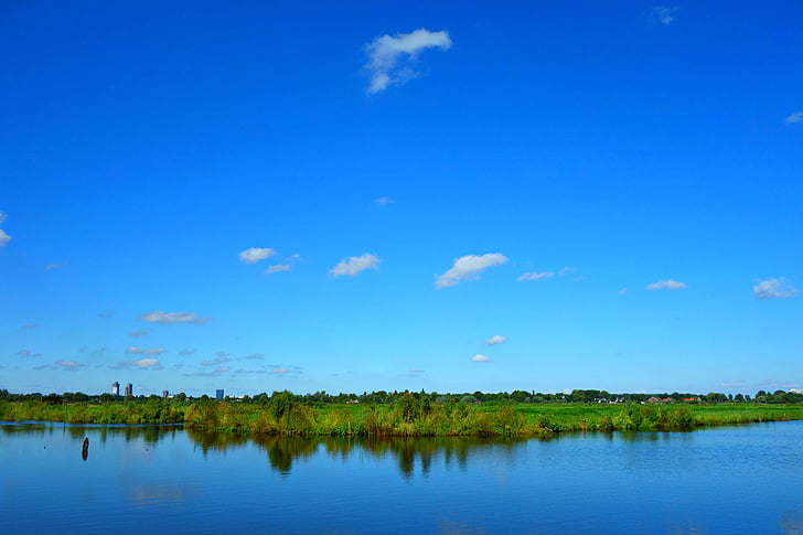paysage, voie navigable, paysage hollandais, polder, ciel bleu, eau bleue, Meadow