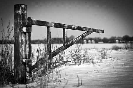 gate, iron gate, farm, fence, season, white, cold