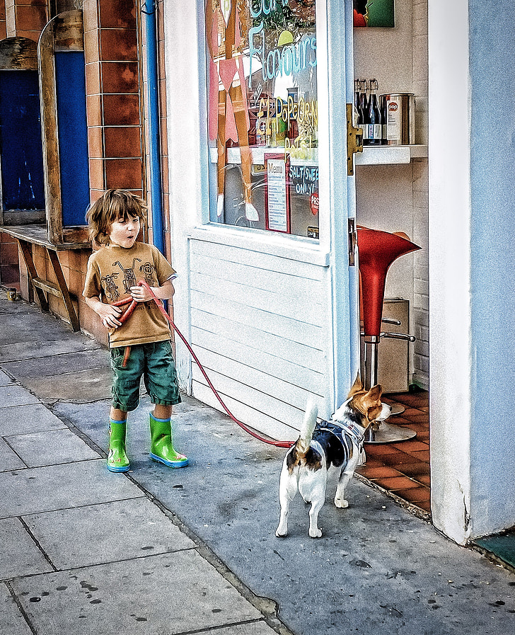 zēns, suns, tirgus iela, skatieties, prieks, pilsēta, tirgus