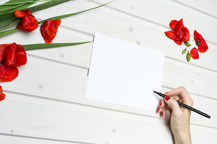 lifestyle, work, paper, pencil, red, flowers, desk