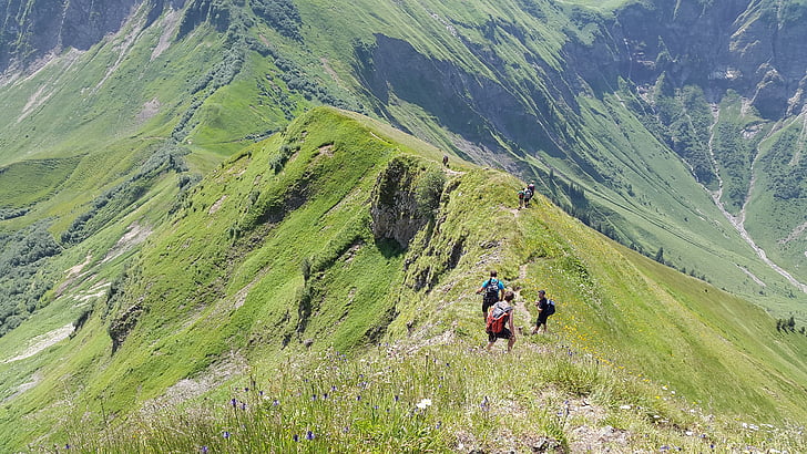 aelpelesattel, hiking, allgäu, wanderer, höfats, grasberg, steep grass