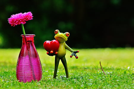 лягушка, любовь, День Святого Валентина, Ваза, цветок, стекло, Открытка