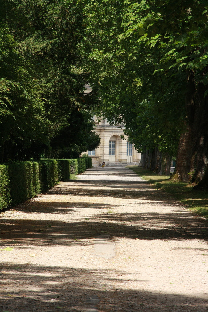 Fontainebleau, slott, bort, Park, ljus, skugga