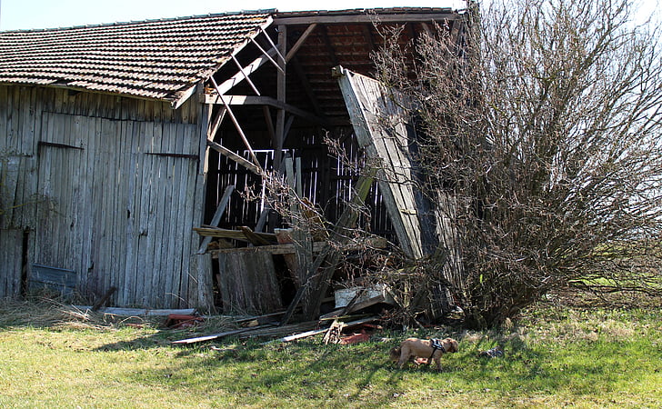 stodola, budova, skončilo, zrúcanina, opustiť, schátralé, drevené konštrukcie