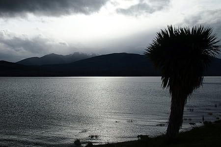 Palm, silhouet, Lake, grijs, licht, berg, wolken