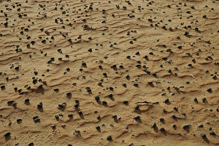 ทราย, หิน, ทะเลทราย