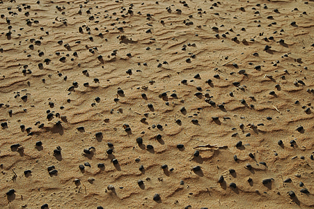 sable, pierres, désert