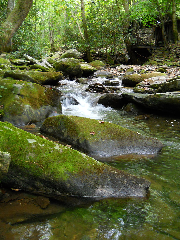 vann, elven, steiner, Creek, strømmer, Moss, Forrest