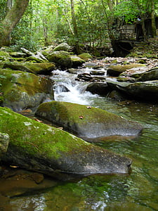 agua, Río, rocas, Creek, que fluye, Moss, Forrest