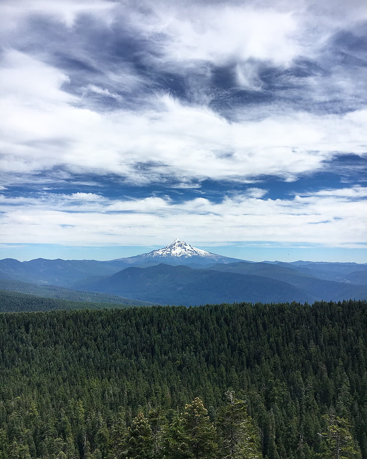 Mountain, Oregon, skov, MT hood, sherrards point, lærk mountain, udendørs