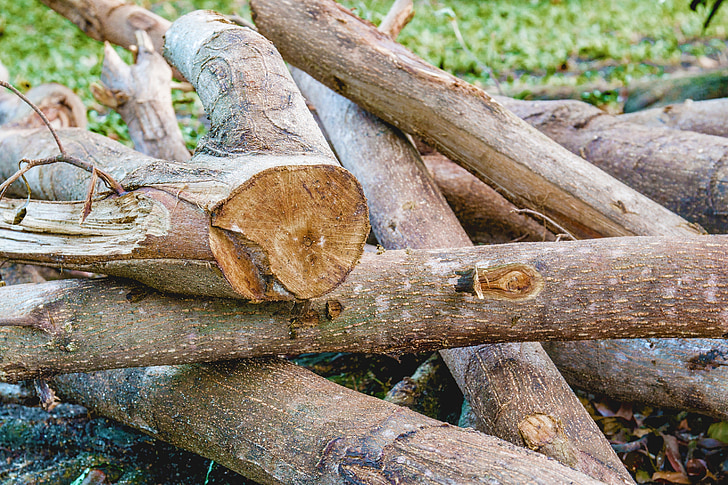 Snijd het hout, een stapel hout, brandhout, boom, hout - materiaal, natuur, bos
