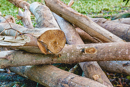 izrezati na drva, hrpu drva, drva za ogrjev, drvo, drvo - materijal, priroda, šuma