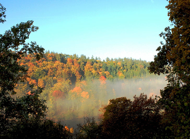 autumn, fog, landscape, forest, sun, trees, sky