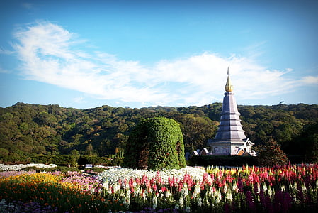 Parco, Doi, Inthanon, carta da parati, Thailandia, Chiangmai, Torre