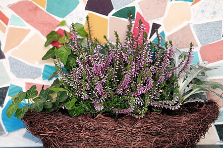 Erika, Heather, Mozaik, herbstdeko, sonbahar dekorasyon