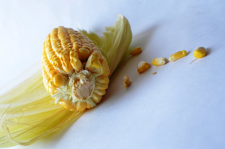 corn, maize, vegetables, grain, organic, harvest, nutrition