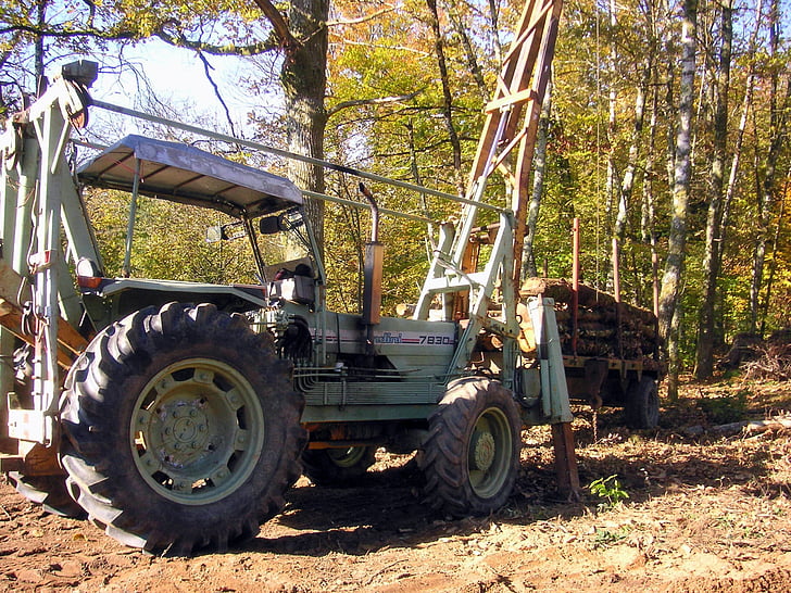 gammal traktor, Logga, timmer, skogen, trä, clearance, träd