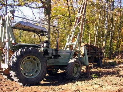 gamle traktor, logging, tømmer, skog, tre, klaring, trær