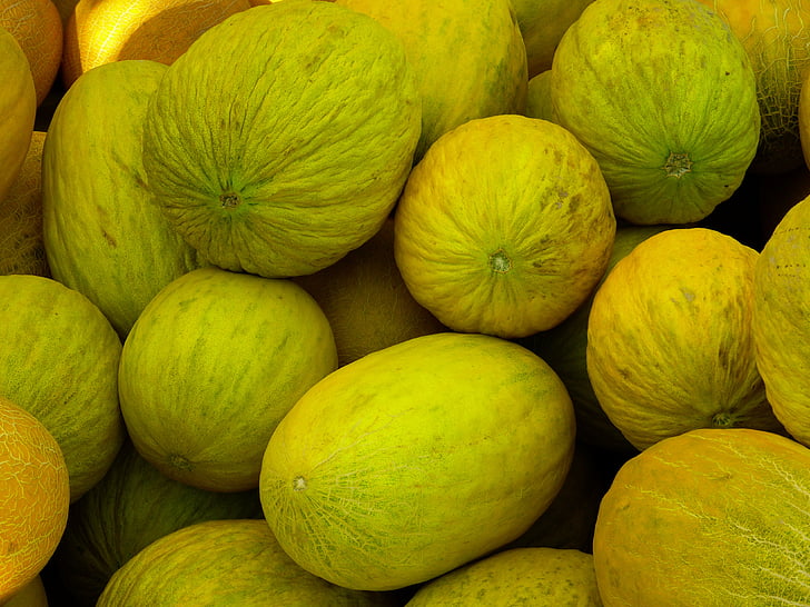 melons, honeydew melons, eating fruit, yellow