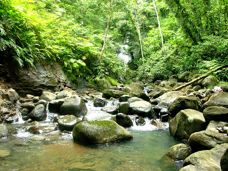 natur, floden, Cocos, Costa Rica, Puntarenas