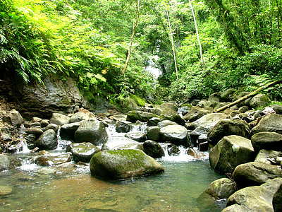 φύση, Ποταμός, Νησιά Κόκος, CostaRica, Πουνταρένας