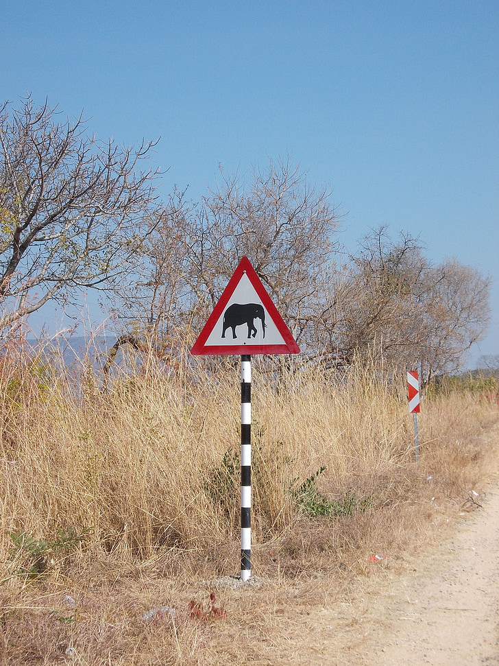 south africa, elephant, traffic sign, attention elephant