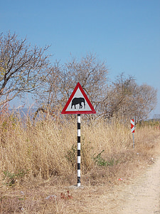 Sudáfrica, elefante, señal de tráfico, elefante de atención