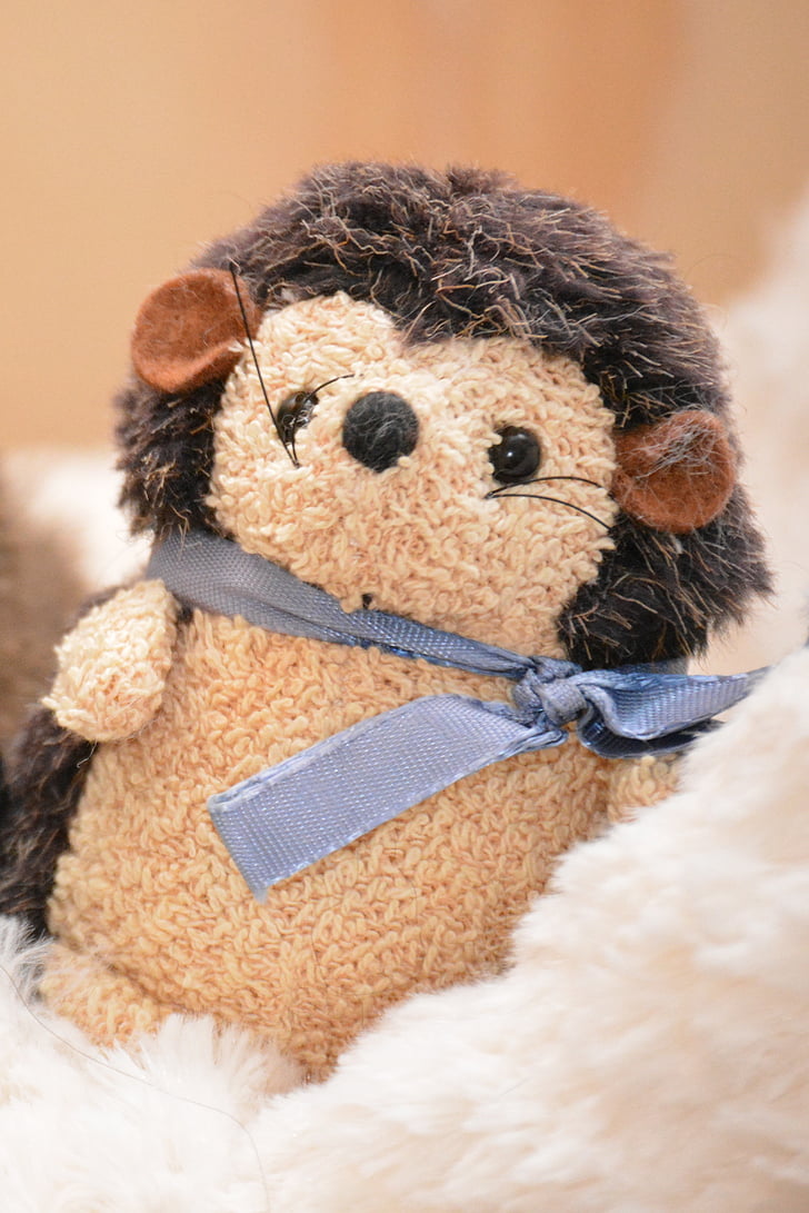 hedgehog, stuffed animal, cute, teddy Bear, toy, bear, fluffy