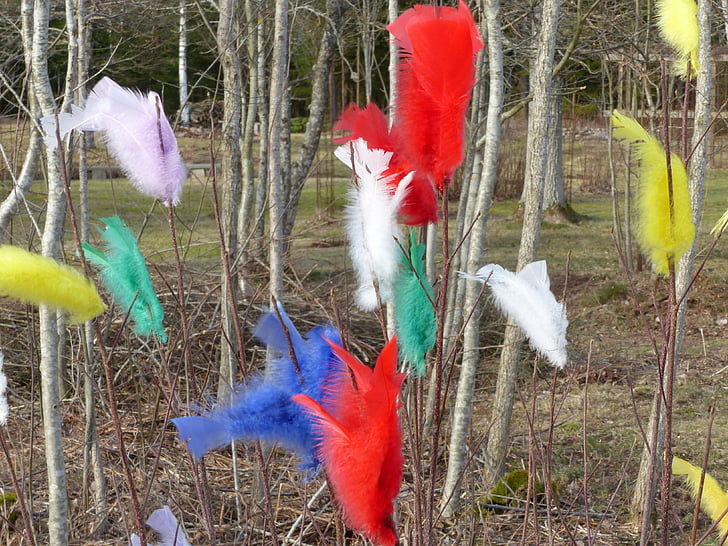plumas de Pascua, colores, Semana Santa, al aire libre, tribus, jardín