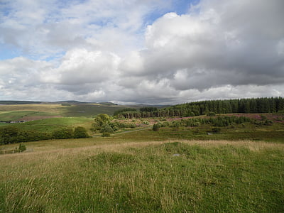 landscape, hill, grass, summer, scotland, scottish, travel
