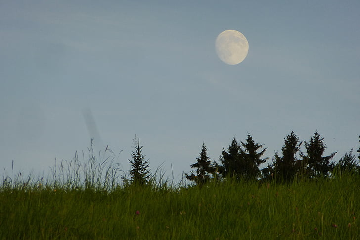 full moon, dusk, meadow