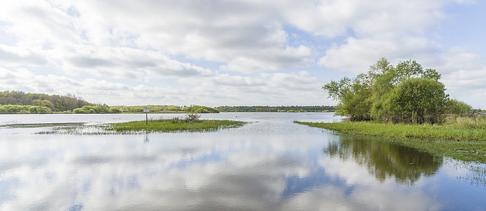 bažina, Loire atlantique, Panorama