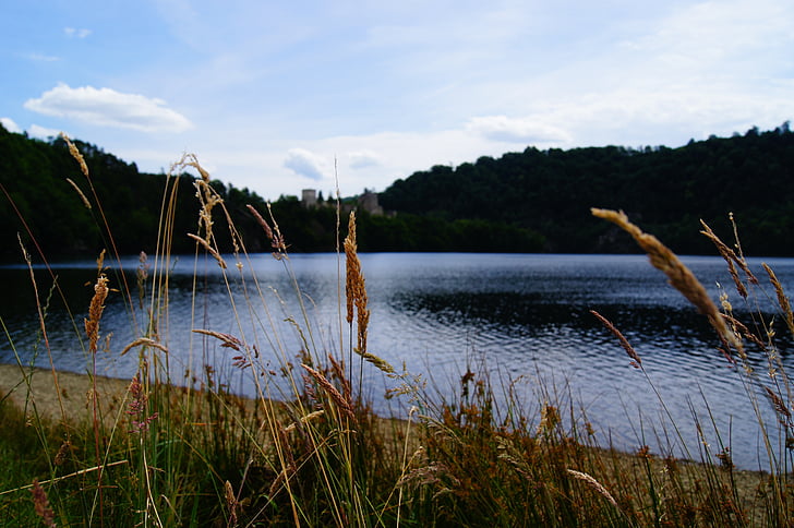 water, reservoir, lake, grass, nature, meadow, beach