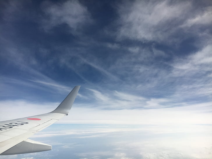 เครื่องบิน, สายการบิน, ท่องเที่ยว, การเดินทาง, สีฟ้า, ท้องฟ้า, เที่ยวบิน