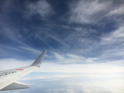 avião, companhia aérea, viagens, viagem, azul, céu, voo