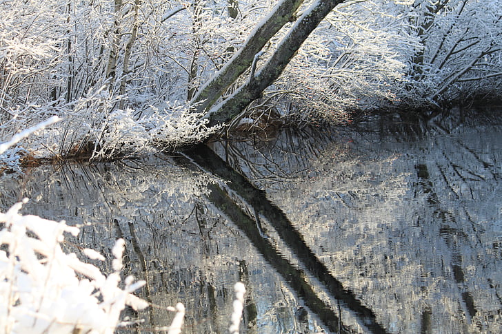 winter, snow, reflection, ice, season, frost, outdoors