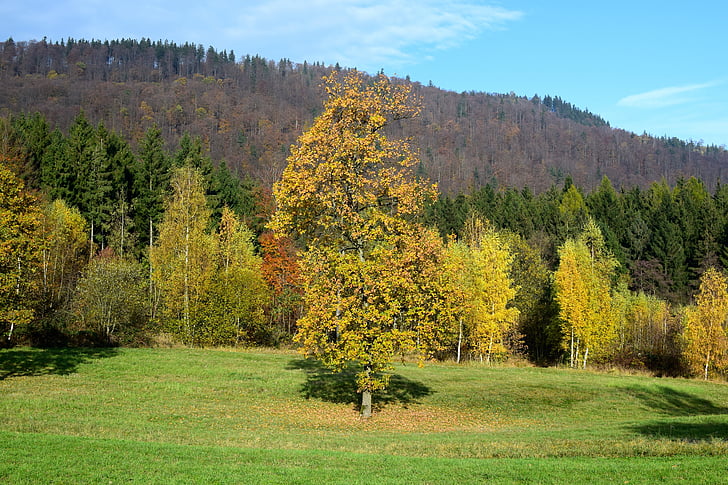 paesaggio, autunno, albero, montagne, Panorama, natura, stato d'animo