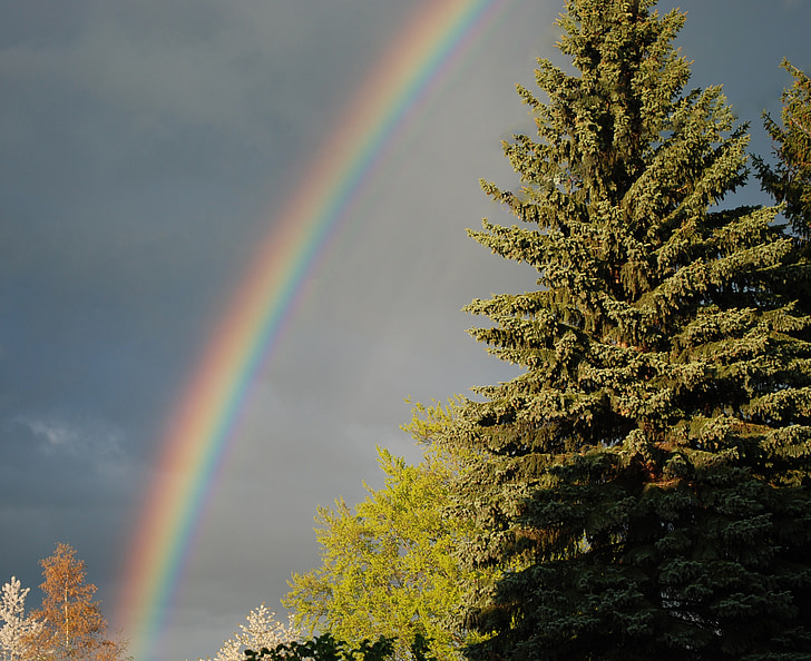 Rainbow, åskväder, Väder, naturfenomen, regnbågens färger, refraktion