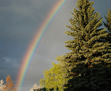 arco iris, tempestad de truenos, tiempo en, fenómeno natural, colores del arco iris, refracción
