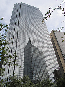 podjetja, nebotičnik, Windows, odsev, stavb, centru, Dallas