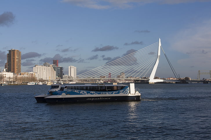 Rotterdam, malla, puente Erasmus, agua, nueva malla, Río, puente