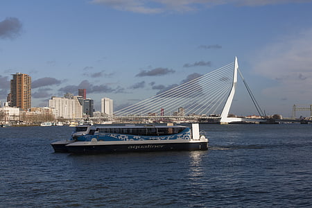 Rotterdam, kafes, Erasmus Köprüsü, su, Yeni mesh, nehir, Köprü