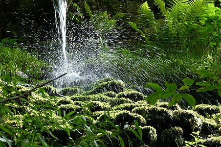 Водопад, воды, всплеск, струя воды, объектив воды, пейзаж, lichtspiel