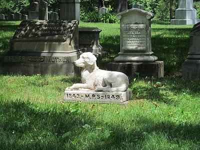 кладбище, Могила, кладбище, домашнее животное, Статуя, надгробная плита