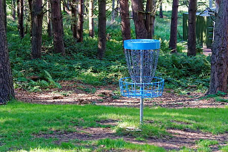 Disc golf, gry frisbee, Frisbee, lasu, Siatka ogrodzeniowa, miejsce docelowe, na zewnątrz