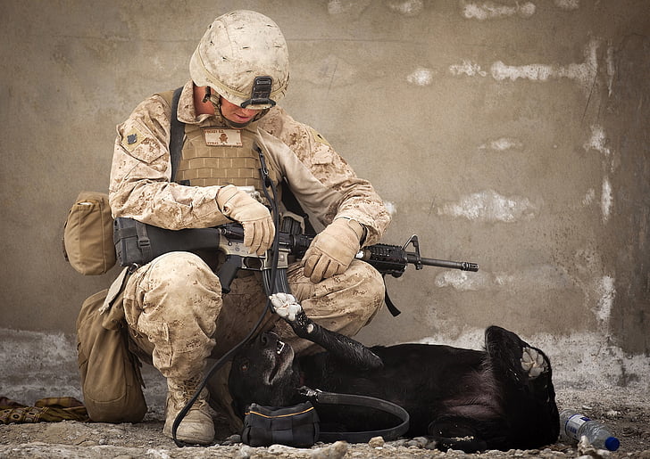 arbetande hund, militära, handler, soldat, spela, följeslagare, kommandot