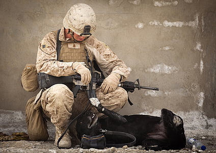 работен куче, военни, манипулатор, войник, възпроизвеждане на, спътник, команда
