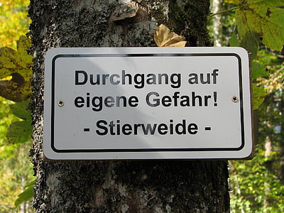 miško, Gamta, rudenį, pieva, valdyba, Jautis, Vokiečių