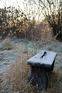 bench, cold, frost, silence, winter, no people, lake