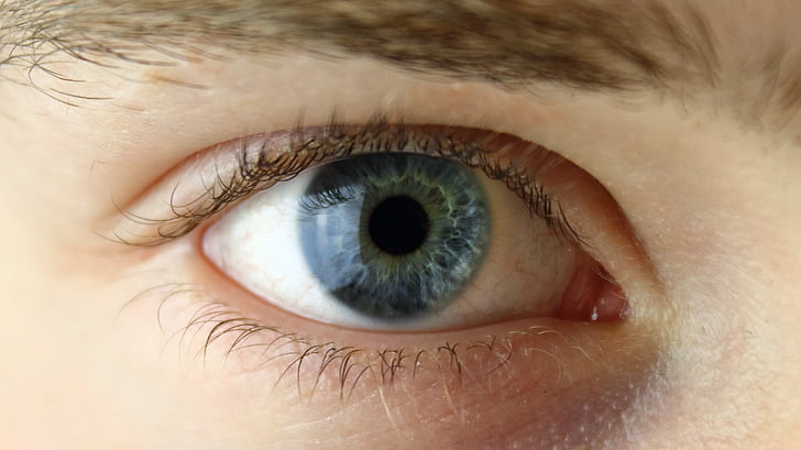 μάτι, πρόσωπο, ανθρώπινη, πράσινο, μπλε, πορτρέτο, ο άνθρωπος